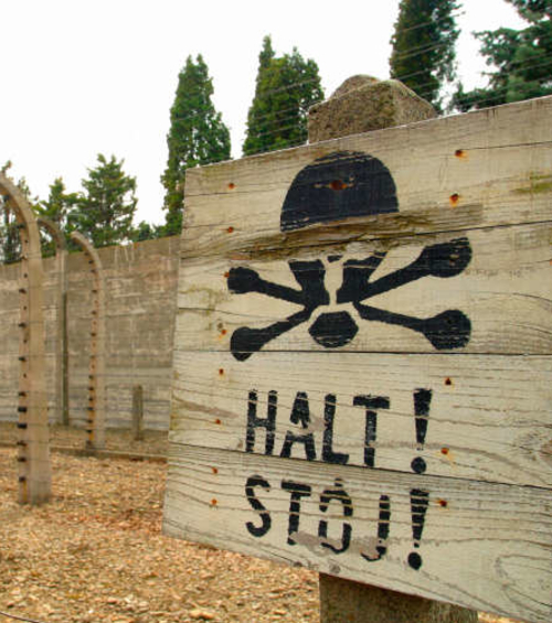 Sorrow: The Nazi Legacy